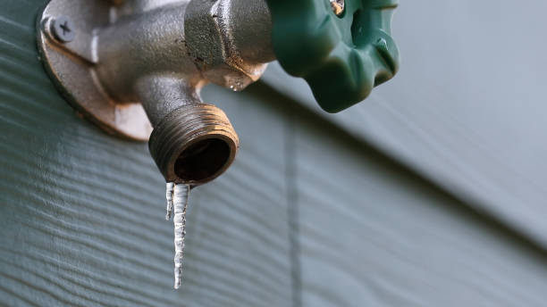 Best Septic Systems  in Lakewood Ranch, FL